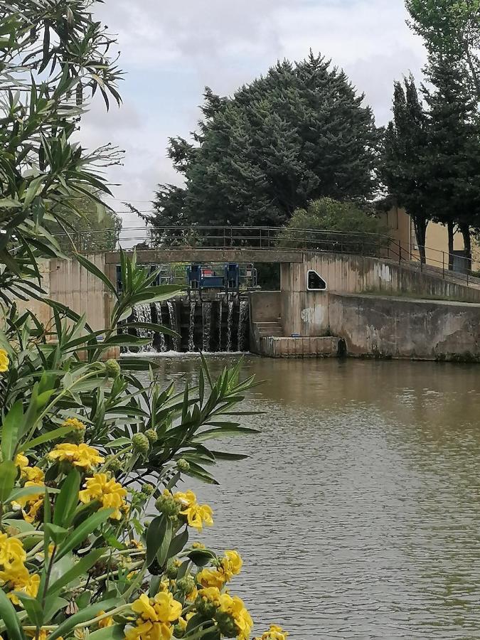 Villa Sainte Marie Ναρμπόν Εξωτερικό φωτογραφία
