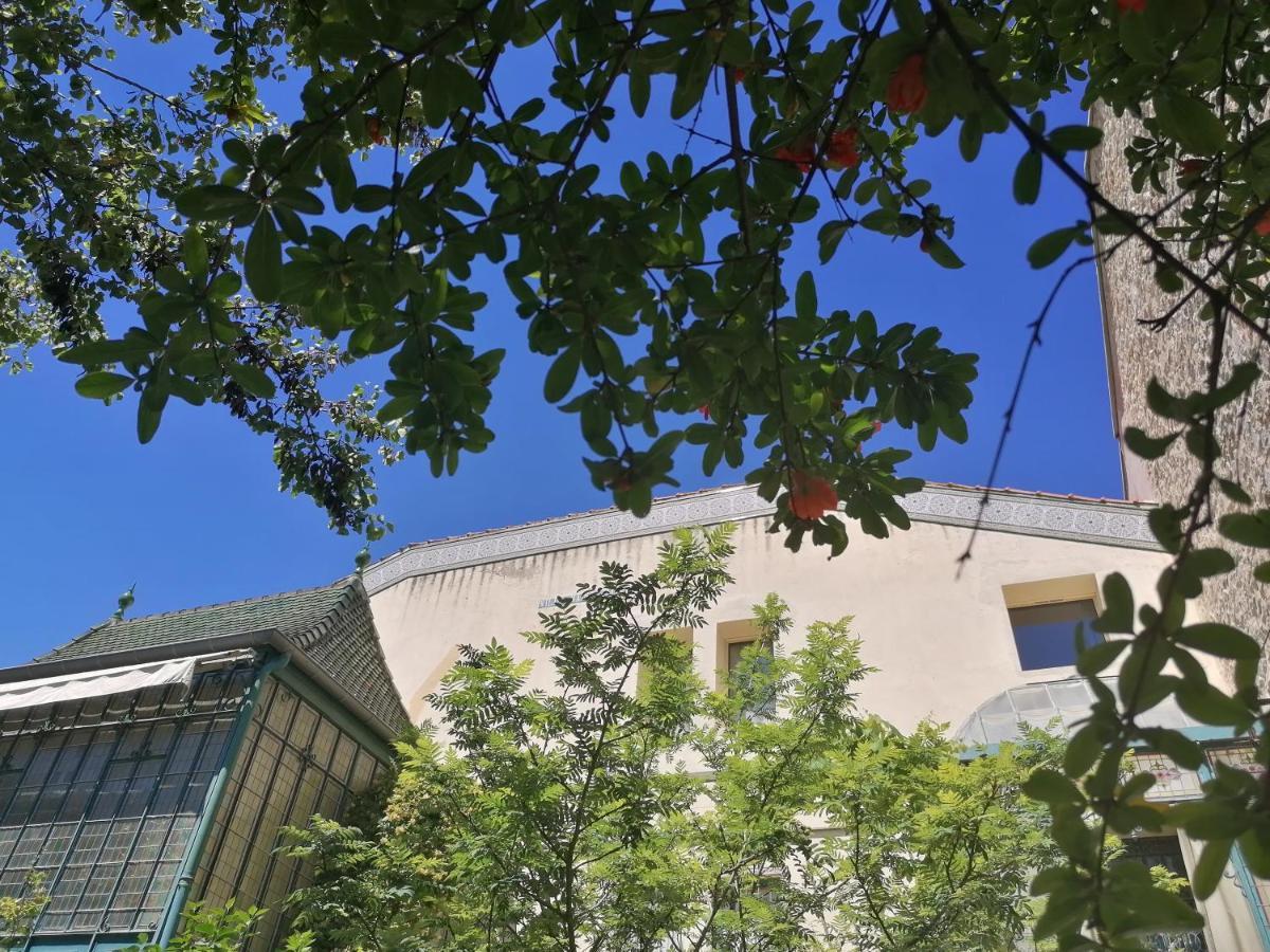 Villa Sainte Marie Ναρμπόν Εξωτερικό φωτογραφία