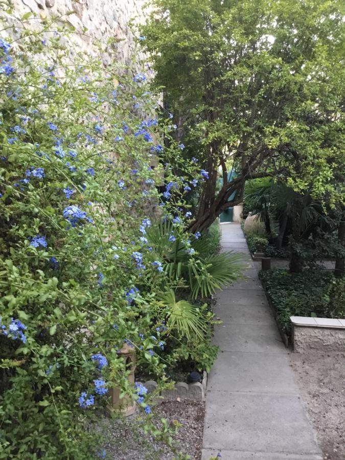 Villa Sainte Marie Ναρμπόν Εξωτερικό φωτογραφία